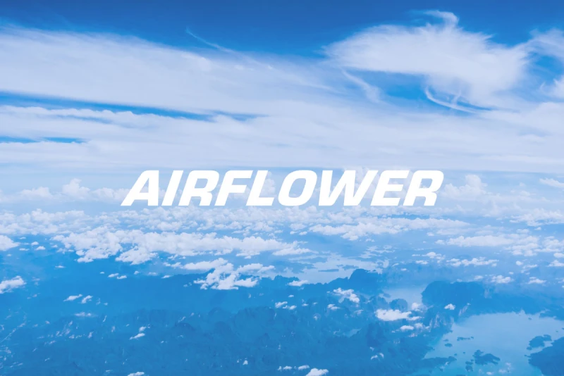 에어플라워 스크린샷