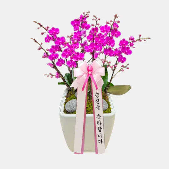 화분